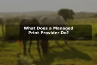 What Does a Managed Print Provider Do? What Does a Managed Print Provider Do?