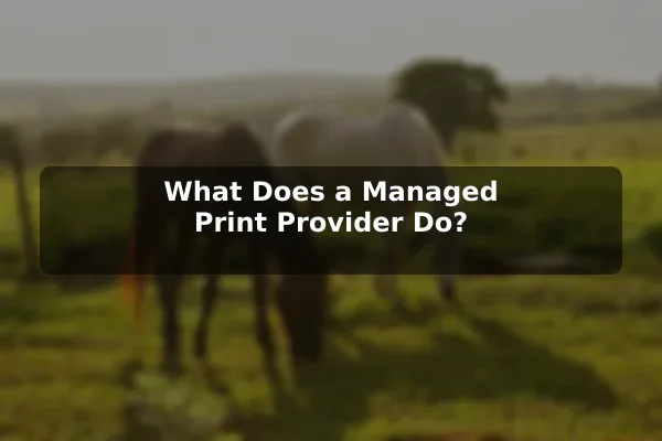 What Does a Managed Print Provider Do?